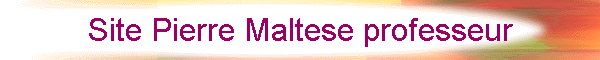 Site Pierre Maltese professeur